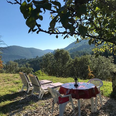 Chambre D'Hote Lavande - Le Soleil Des Cevennes サン・ジャン・デュ・ガル エクステリア 写真