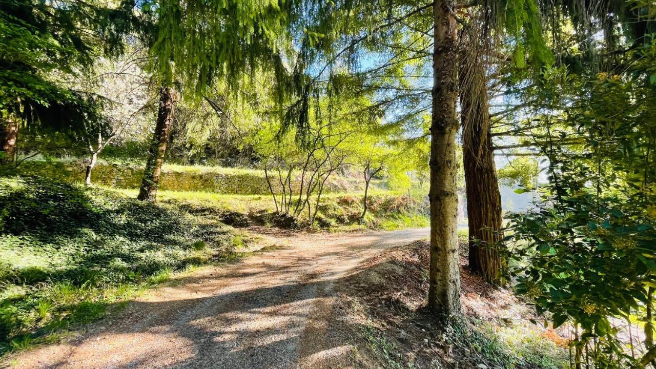 Chambre D'Hote Lavande - Le Soleil Des Cevennes サン・ジャン・デュ・ガル エクステリア 写真